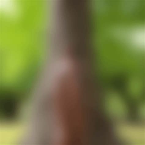 Missionary – iyotFlix.com .